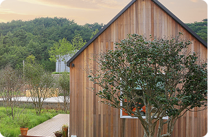 스테이제부 이미지