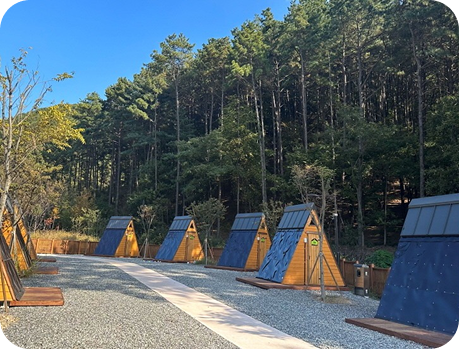 무봉산자연휴양림의 사진