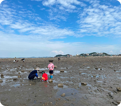제부도 갯벌체험 이미지